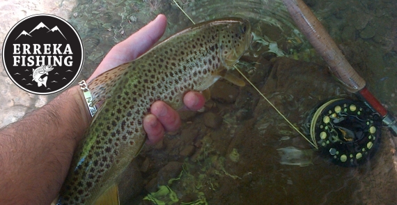 Guide de Pêche Aquitaine erreka fishing