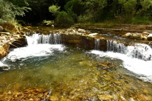 paysage la vise