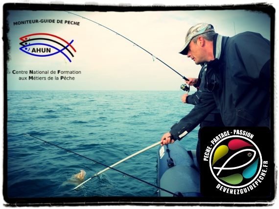 moniteur guide peche normandie arnaud delaloche