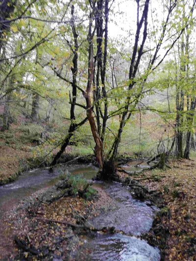 rivirere ruisseau en france