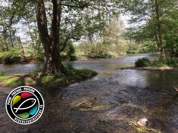 guide de peche rivière ile de france