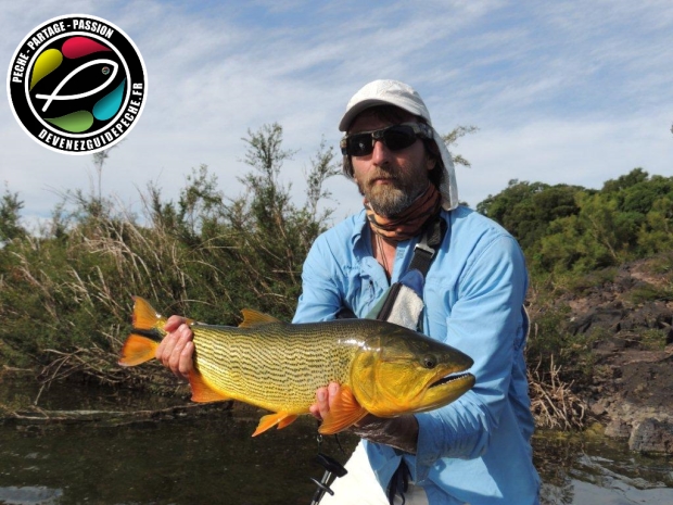 Moniteur guide de pêche à la mouche des carnassiers : le dorado