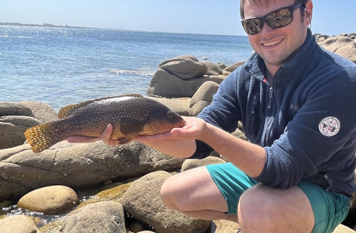 Pesketa avec une vielle (poisson)