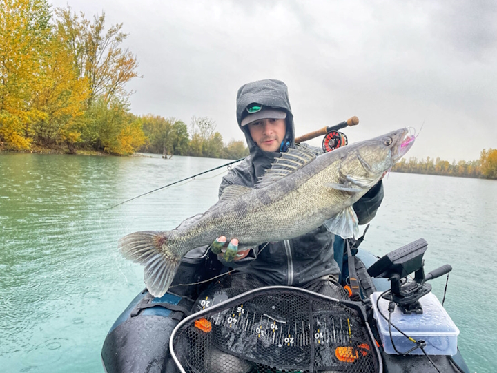 Moniteur guide de pêche à la mouche sandre